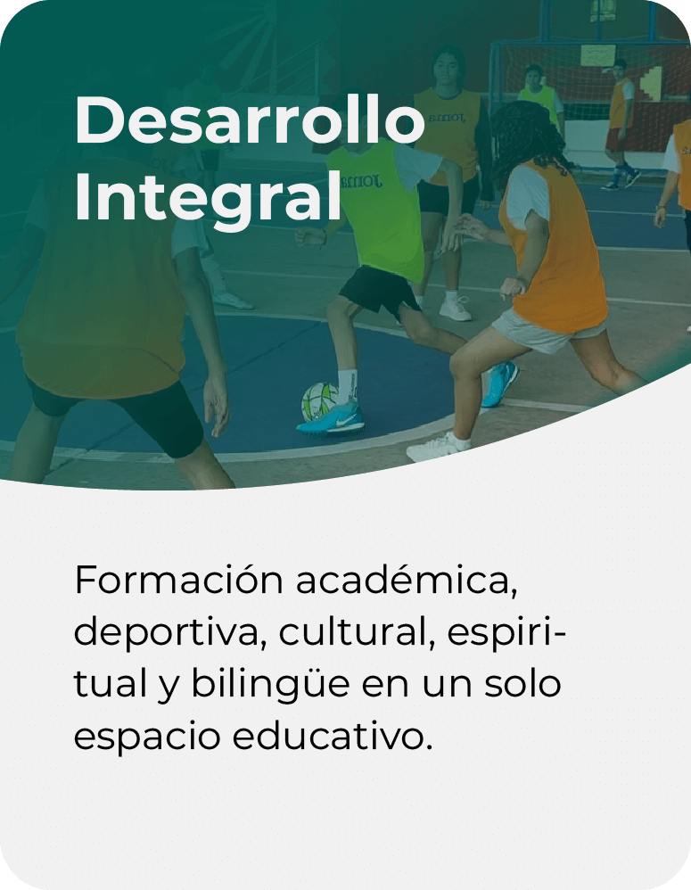 Imagen-31